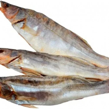 Судак