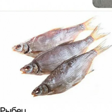 Рыбец